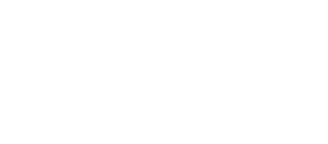 AIV Coin